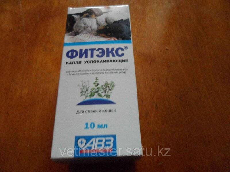 Успокоительное для кошек