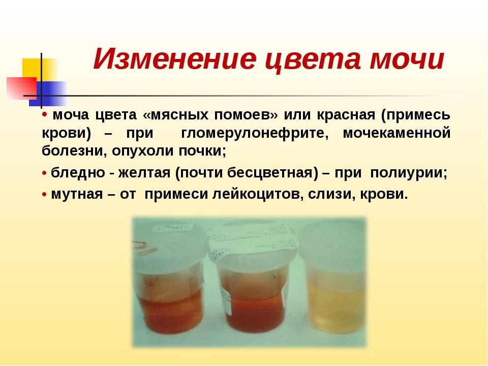 Желудочно - кишечное кровотечение. причины, симптомы и признаки (рвота, кал с кровью,) диагностика, первая помощь при кровотечении. :: polismed.com