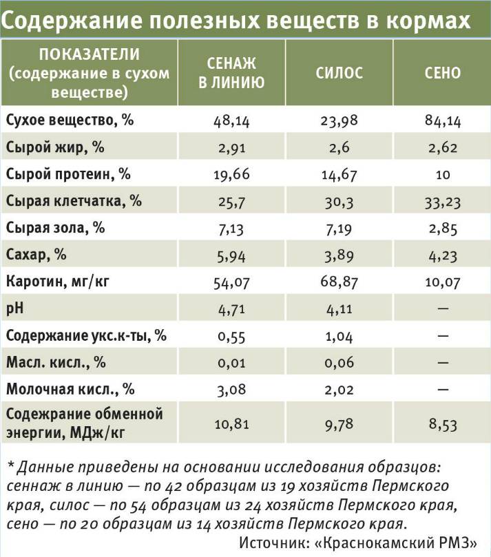 Как выбрать сухой корм для кошек и на что обращать внимание?