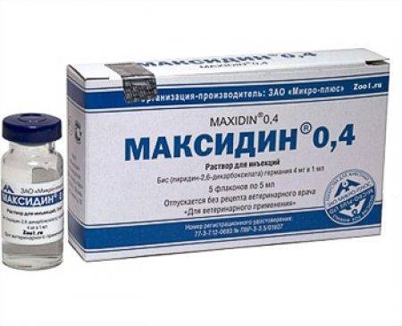 Максидин для собак: описание препарата, состав, форма выпуска, назначение, дозировка, противопоказания