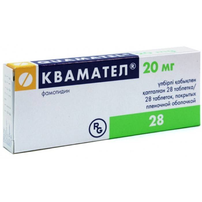 Квамател для собак: инструкция по применению с дозировкой и отзывами для обычного, «мини» и их аналогов в таблетках и ампулах