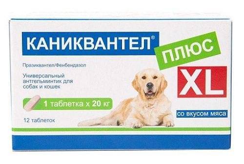 Особенности применения препарата и инструкция к "каниквантел плюс" для лечения паразитов у собак и кошек