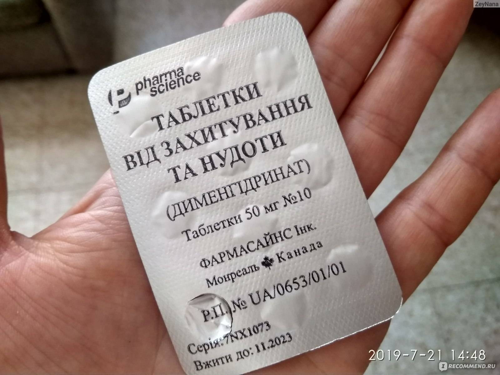 Собаку укачивает в машине: почему, причины, что делать