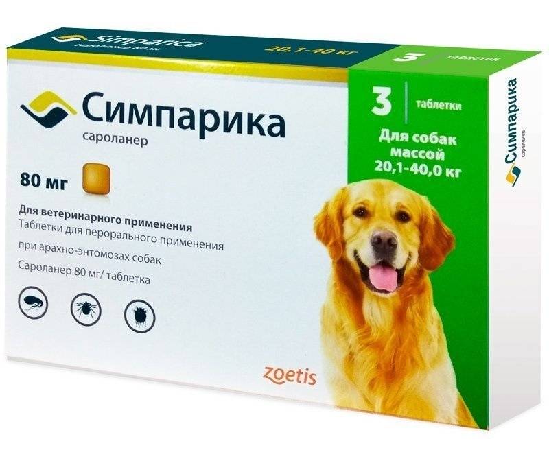 Пробиотики для собак: список самых популярных марок | звери дома