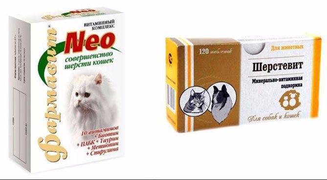 Значение и критерии выбора витаминов для кошек