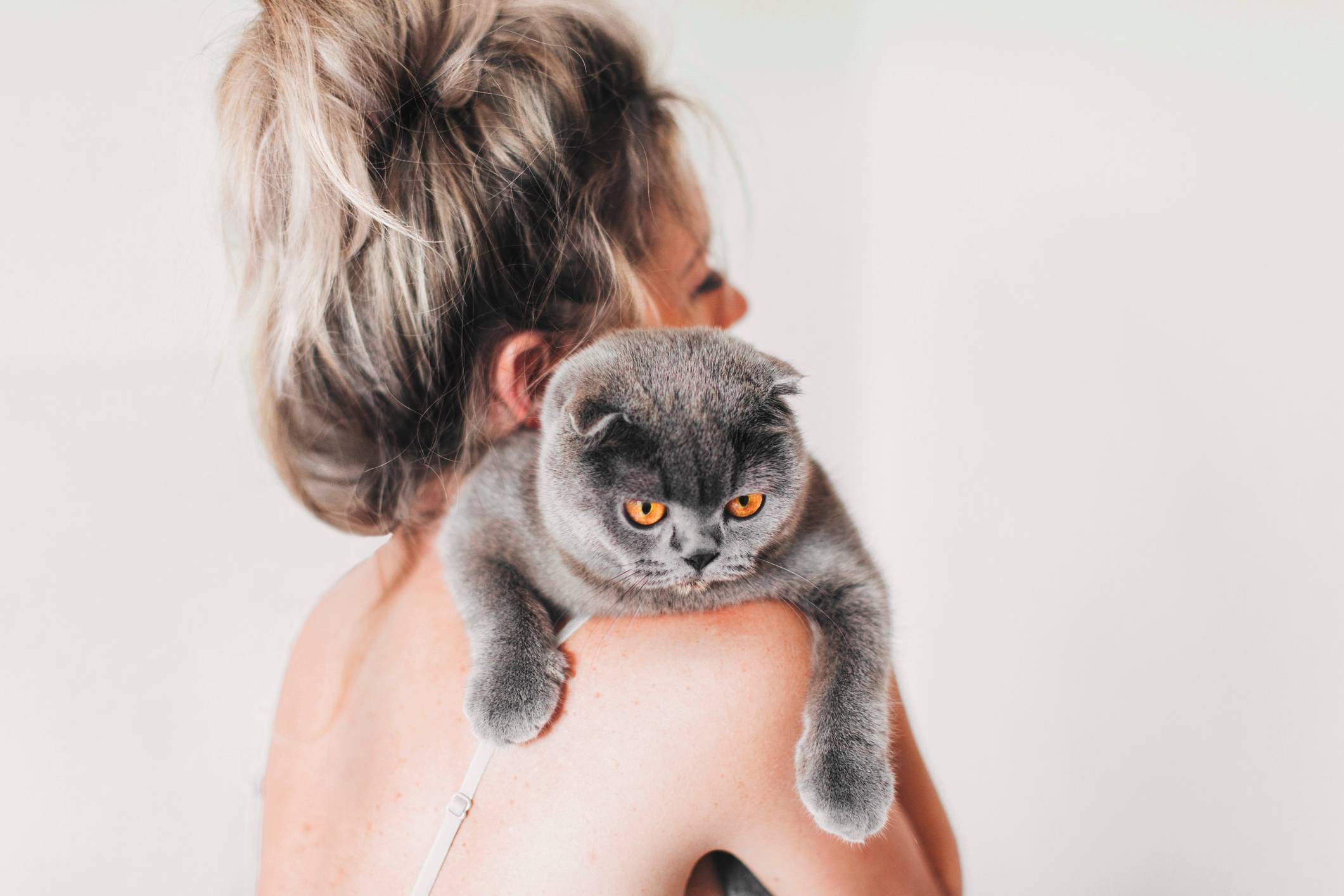 Можно ли держать кошку в доме во время беременности?