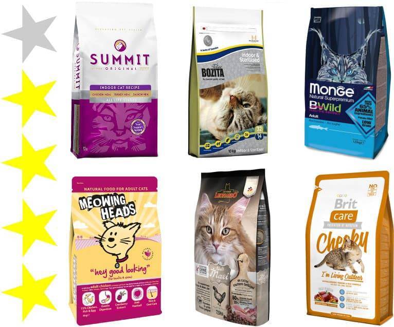 Кошачий корм: рейтинг продуктов для кормления кошек и котят от эконом- до супер-премиум-класса