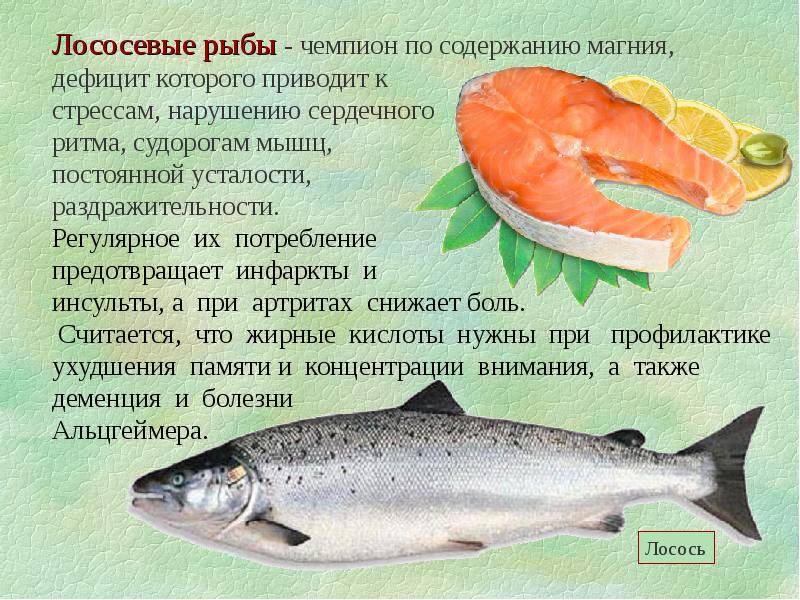 Почему котам нельзя есть рыбу и рыбные продукты?