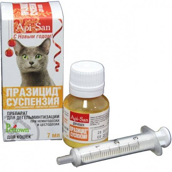 Таблетки от глистов для кошек: эффективные средства, плюсы и минусы
