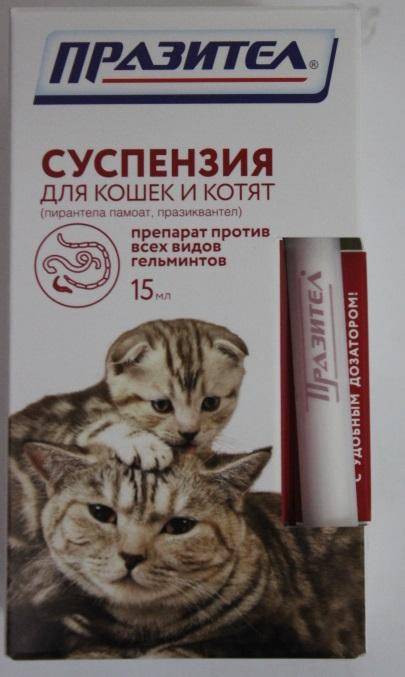 Обзор препарата празител для кошек и котят: инструкция по применению, отзывы