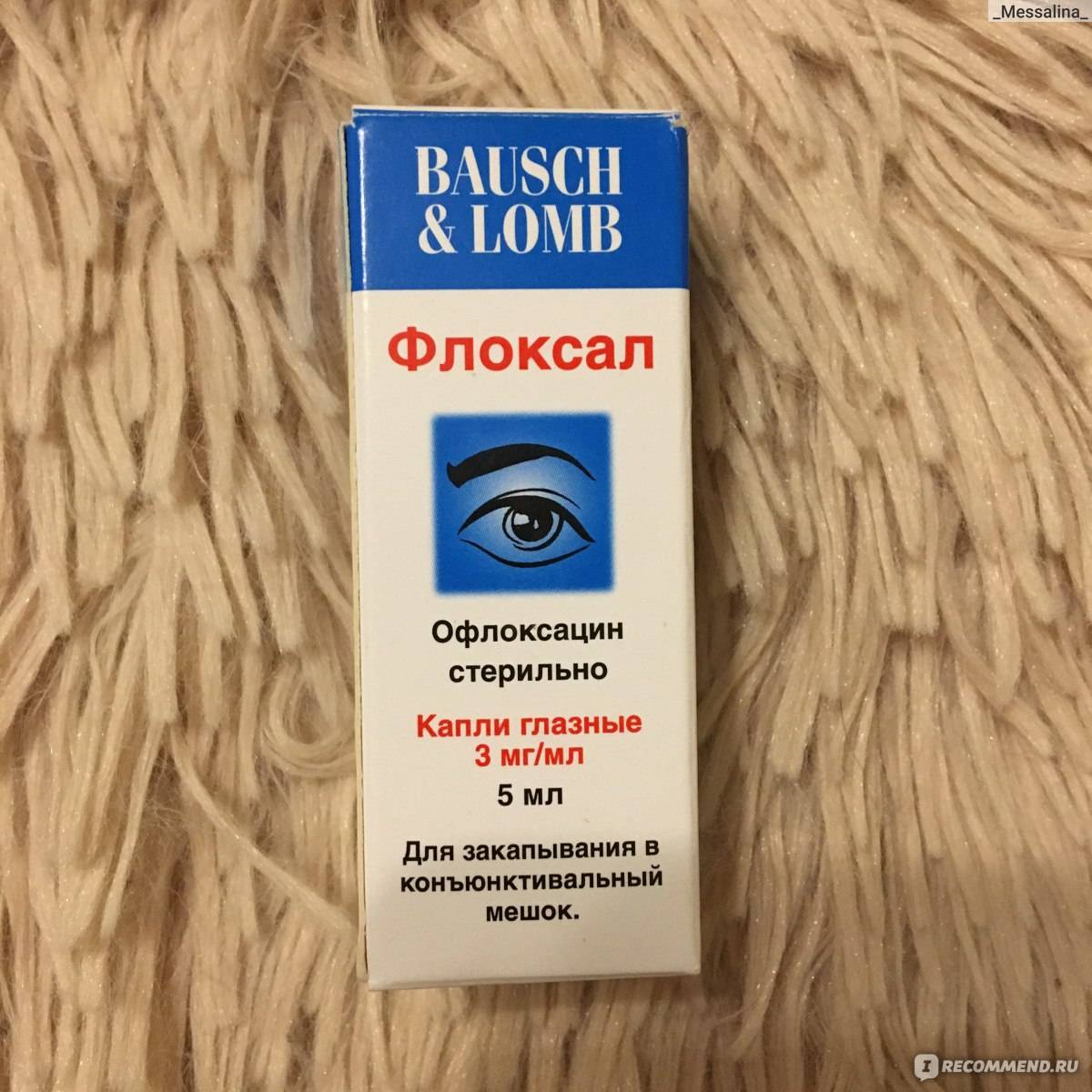Глазные капли для кошек:  цены и виды препаратов для глаз