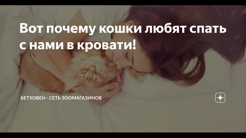 Почему кошки спят в ногах у хозяина, любят ложиться рядом с человеком, что это значит?