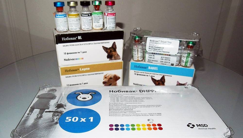 Нобивак трикет трио для кошек – для чего нужна и как применять вакцину?