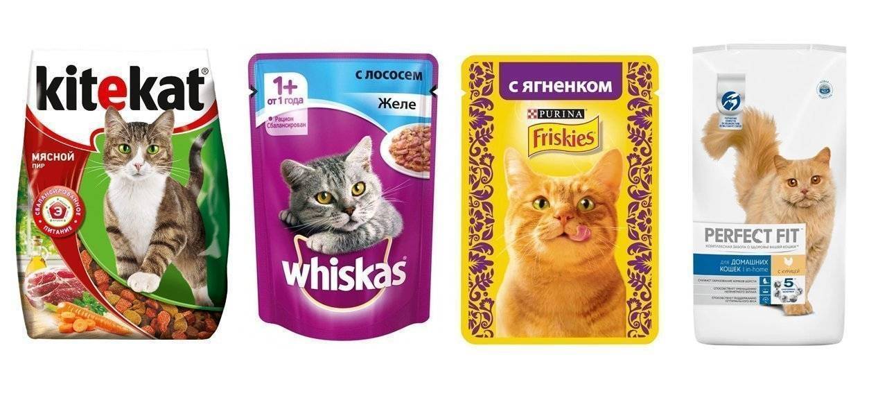 Рейтинг кормов для кошек