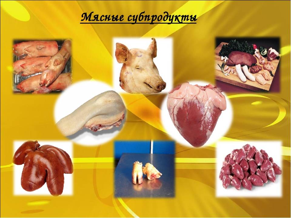 Как кормить собаку субпродуктами с пользой: почки, печень, легкие в рационе питомца