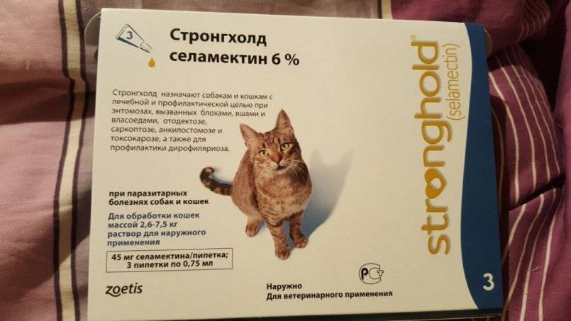 Стронгхолд для кошек и собак: инструкция по применению, описание, противопоказания, побочные действия | препараты | наши лучшие друзья