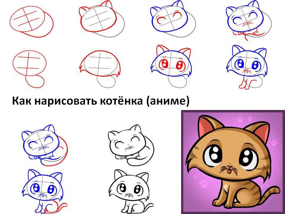 Как нарисовать кошку: пошаговая инструкция для детей. 110 фото и видео описание этапов рисования