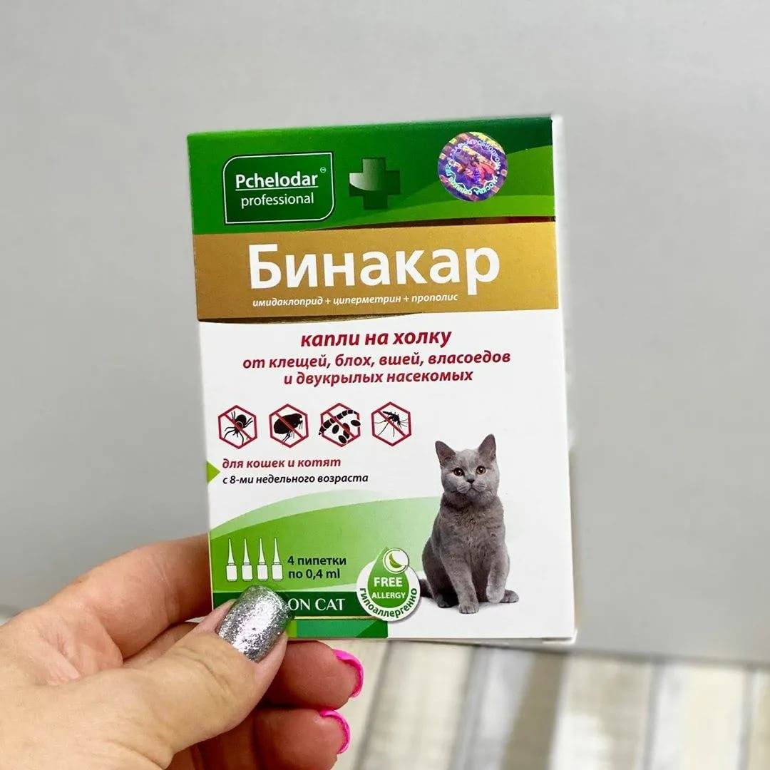 Какие капли против эктопаразитов у кошек самые безопасные, эффективные и удобные?