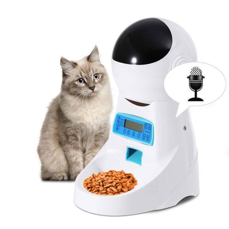 Сравнение 10 современных автоматических кормушек для кошек