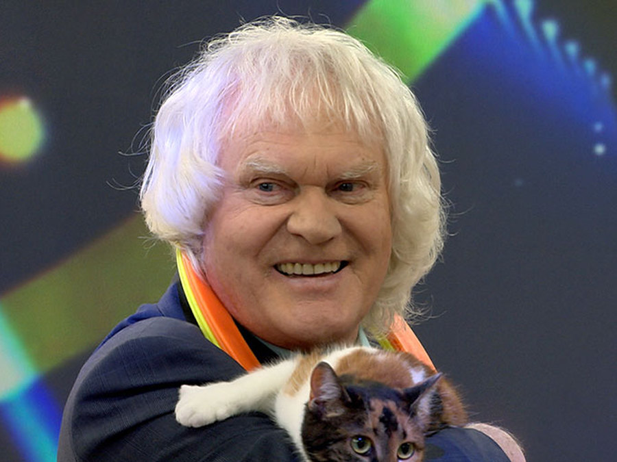 Кошачье дело