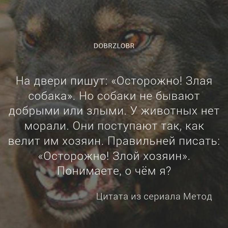 Почему собака в исламе нечистое животное ?