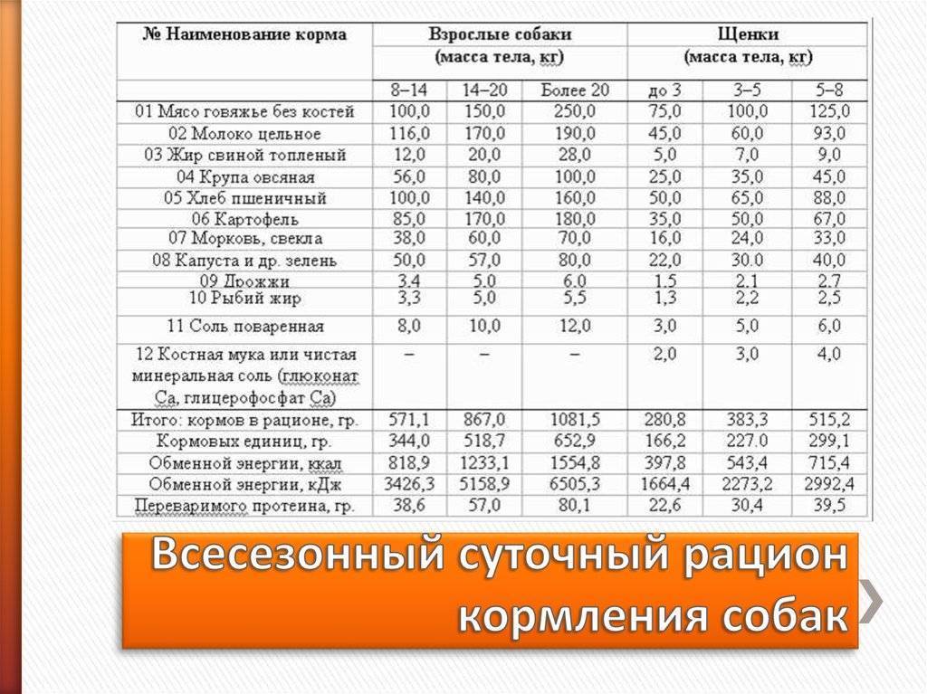 Чем кормить щенка
