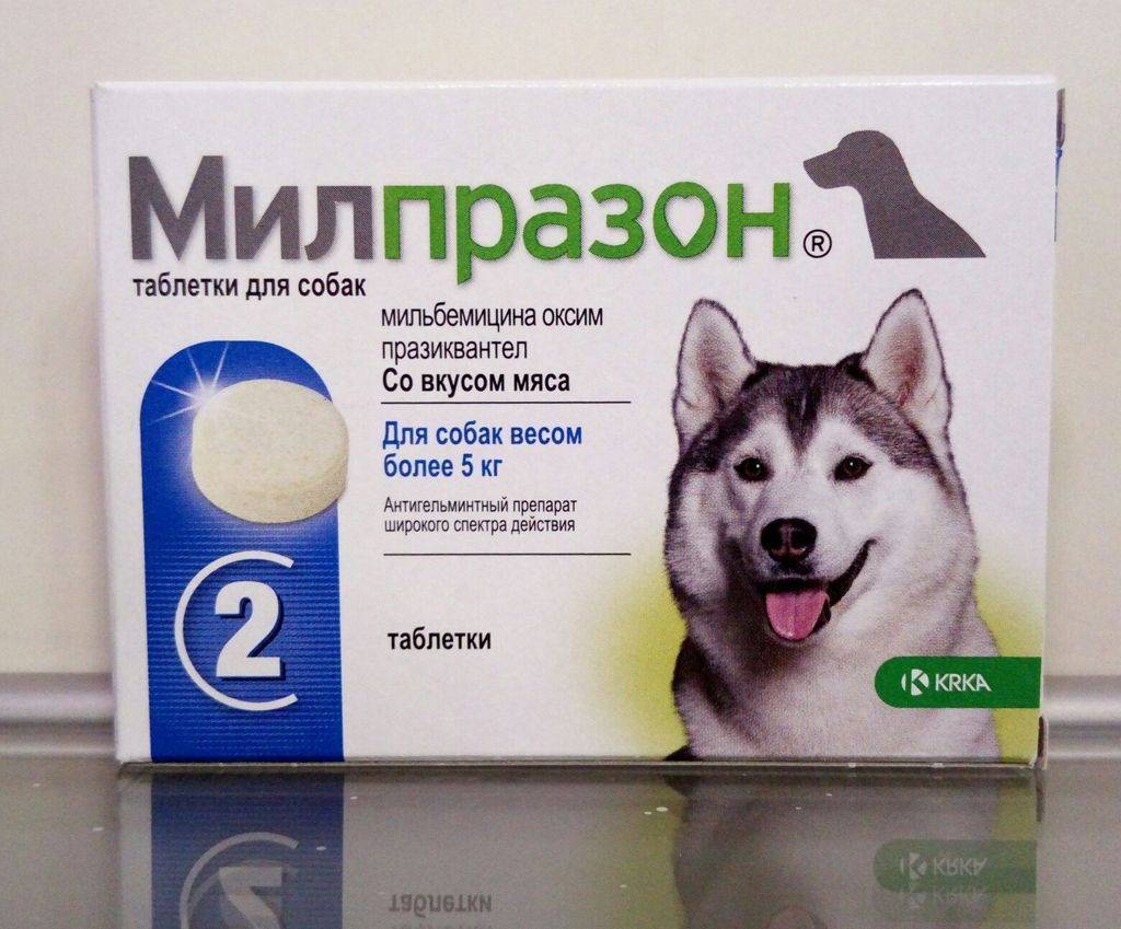 Ушные капли для собак