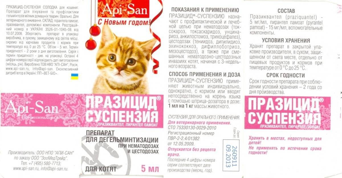 «празицид плюс» (суспензия) для кошек и котят: инструкция по применению