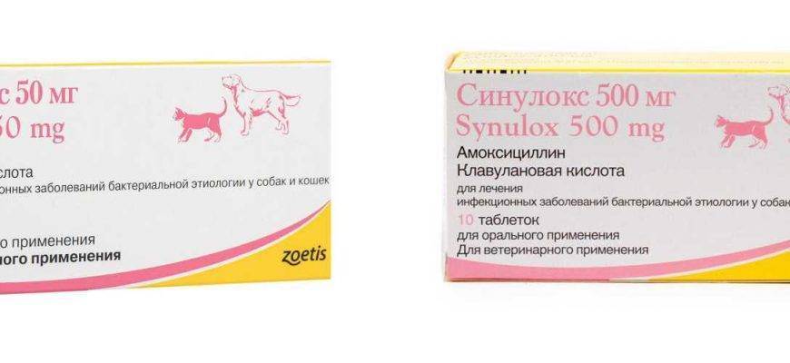 Купить синулокс для собак 500. Синулокс 50 мг таблетки. Zoetis синулокс 50 мг. Синулокс табл. 250мг. Антибиотик для животных синулокс таблетки 50мг.