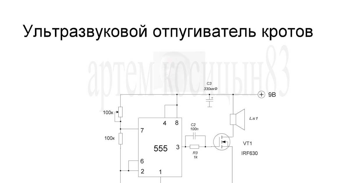 Как сделать отпугиватель собак из подручных средств