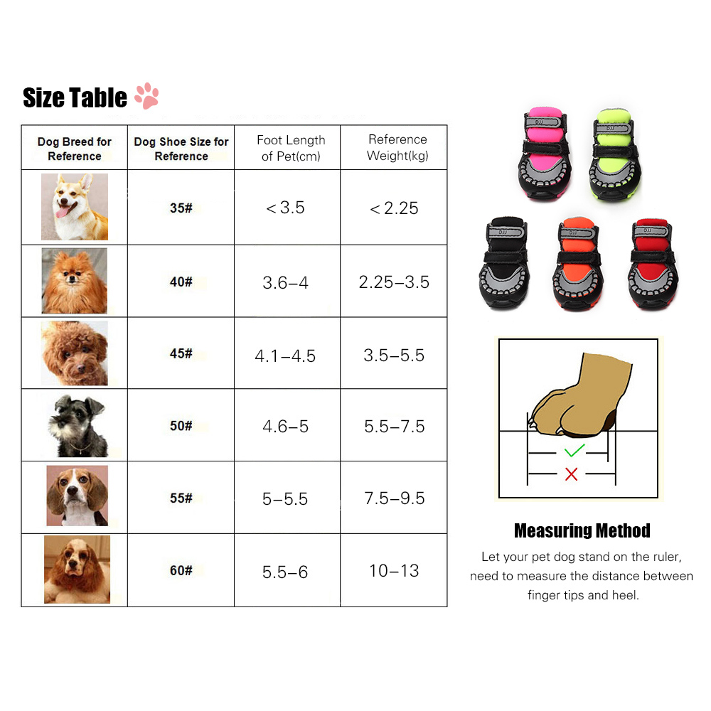 Какие бывают виды обуви для собаки: обзор ботинок для мелкой и крупной породы