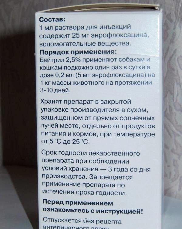 Антибиотики для кошек
