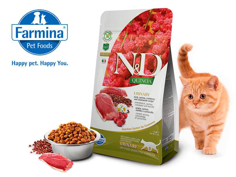 ᐉ обзор корма для кошек farmina n&d - ➡ motildazoo.ru