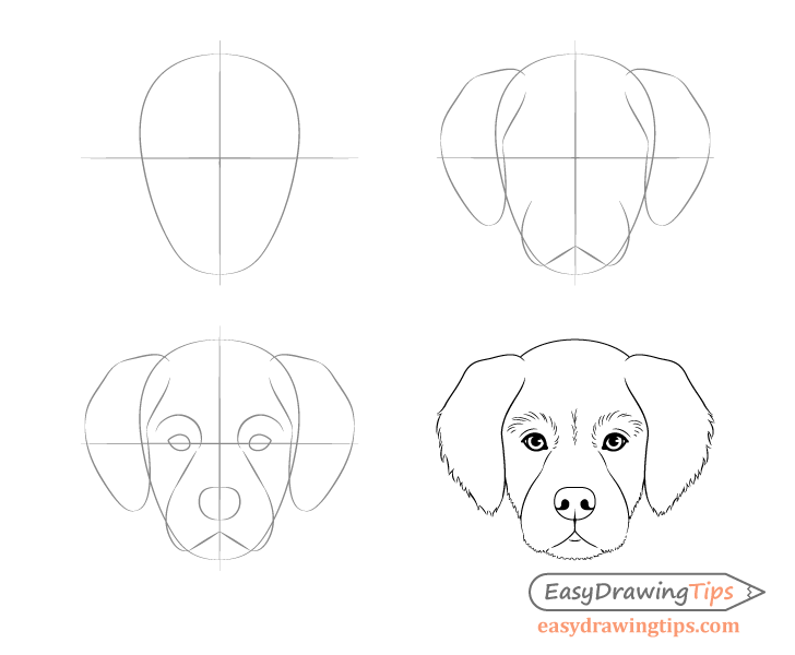 Как нарисовать собаку, символ 2018, легко и красиво поэтапно карандашом и красками — по клеточкам для детей и начинающих рисунок собаки