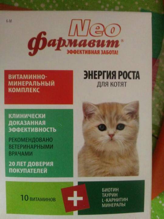 12 лучших кормов для стерилизованных кошек | maritera.ru