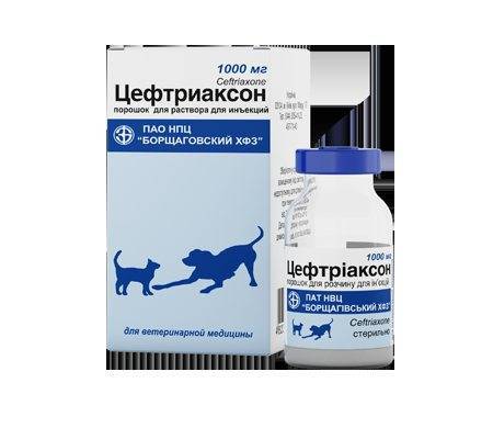 Цефтриаксон в ветеринарии (ceftriaxone)| инструкция по применению цефтриаксона у животных