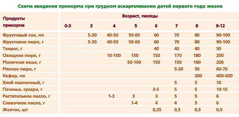 Прикорм котят: когда начинать, чем подкармливать
прикорм котят: когда начинать, чем подкармливать