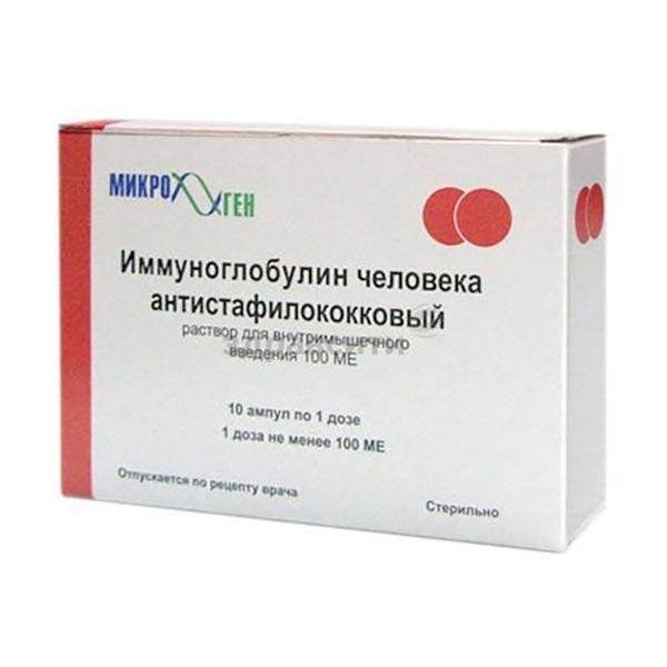 Какие антибиотики можно давать кошкам, список препаратов, дозировка