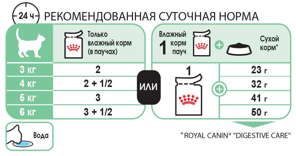 ᐉ здоровое питание: сочетание сухого и влажного корма - ➡ motildazoo.ru
