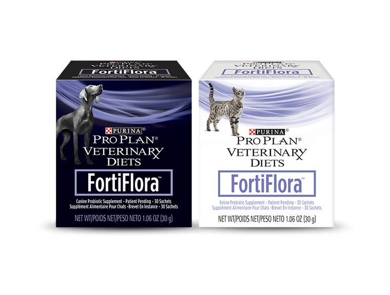 Фортифлора для кошек: состав и принцип действия, инструкция по применению препарата fortiflora от purina