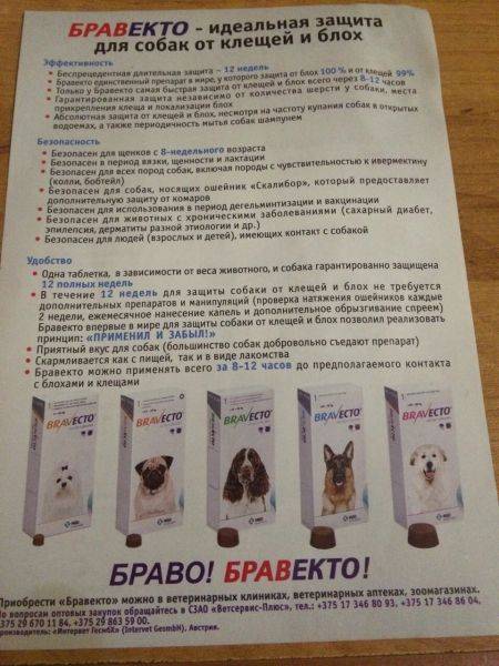 Бравекто для собак: таблетки и капли