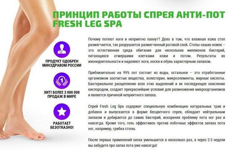 Потеют ли собаки - как собакам помочь в жару