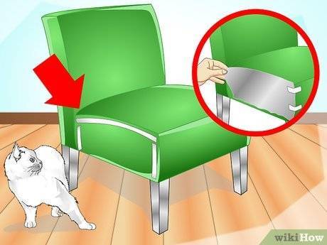 Как отучить кошку или котенка драть когтями обои и мебель: что делать, процесс воспитания