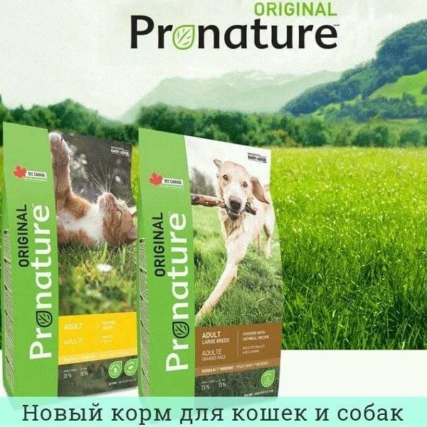 ᐉ обзор и отзывы корма для собак pronature holistic - ➡ motildazoo.ru