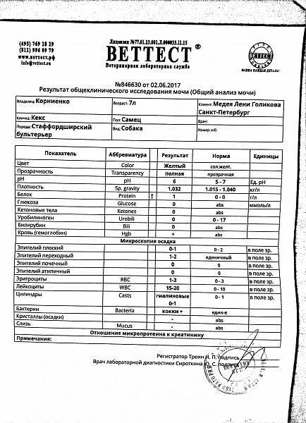Ревматологическое обследование. анализ крови на уровень мочевой кислоты, ревматоидный фактор и пр.