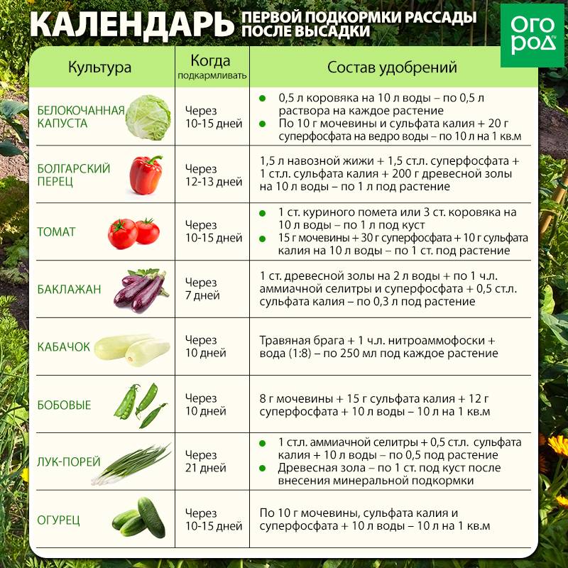 Какие овощи и зелень можно давать собаке. | здоровое питание