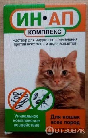Ин-ап комплекс для кошек: инструкция по применению и отзывы о препарате