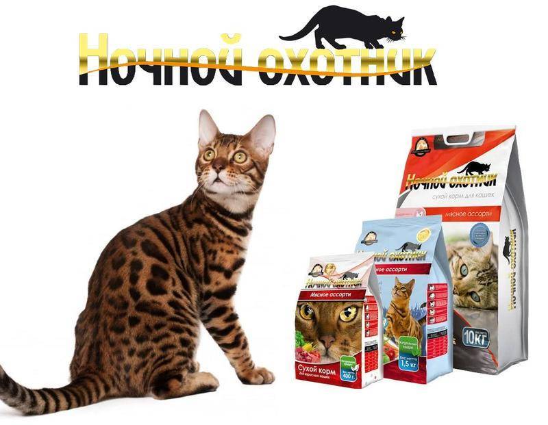 Корм для кошек karmy