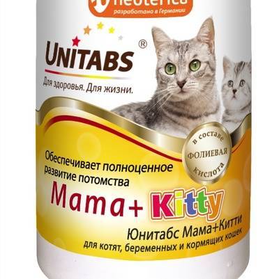 Рейтинг лучших витаминов для котов и кошек по отзывам покупателей: самые эффективные средства для здоровья и красоты домашнего питомца