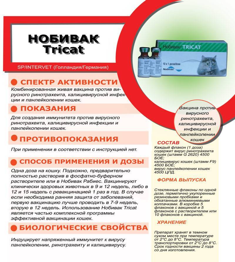 Нобивак для кошек: инструкция по применению | звери дома